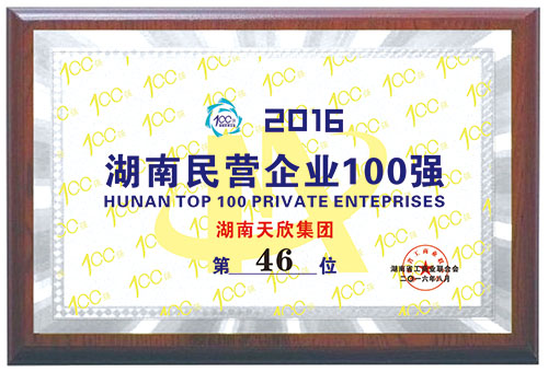 2016年湖南民營企業(yè)100強(qiáng) 第46位